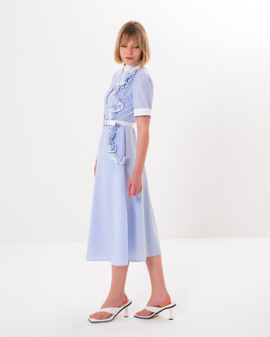 Shirt Collar Buttoned Front Elastic Waist Lined Inside Dress